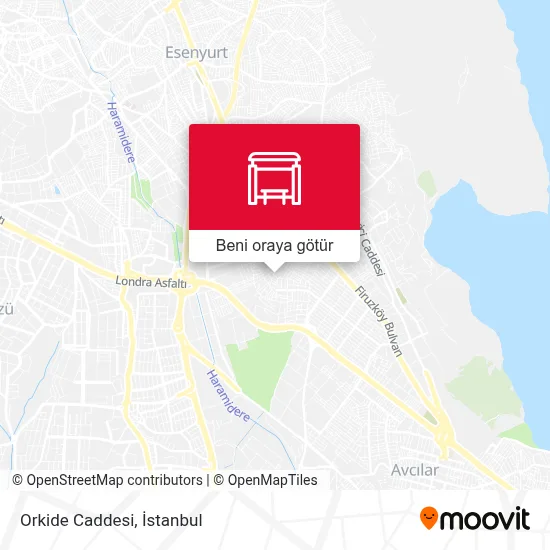 Orkide Caddesi harita