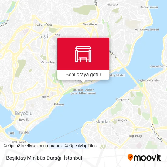 Beşiktaş Minibüs Durağı harita