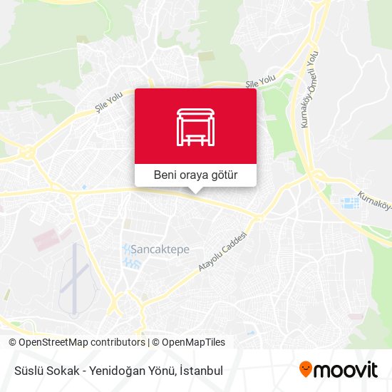 Süslü Sokak - Yenidoğan Yönü harita