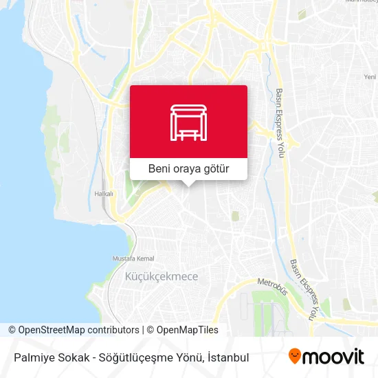 Palmiye Sokak - Söğütlüçeşme Yönü harita