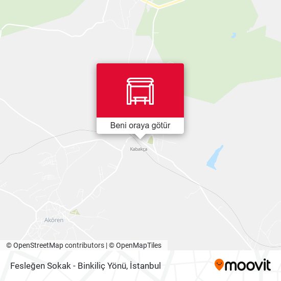 Fesleğen Sokak - Binkiliç Yönü harita