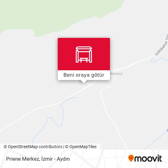 Priene Merkez harita