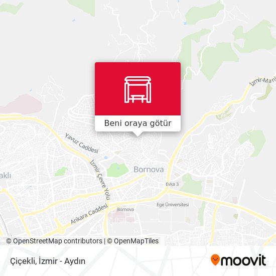 Çiçekli harita