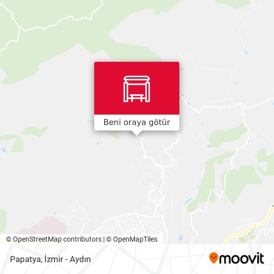 Papatya harita