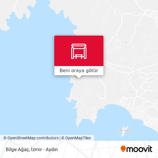 Bilge Ağaç harita