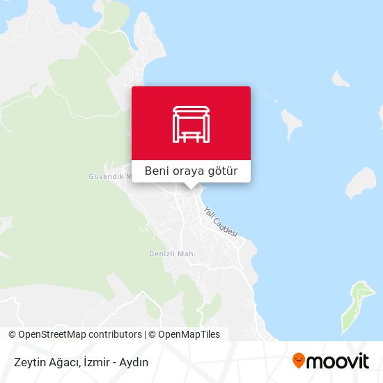 Zeytin Ağacı harita