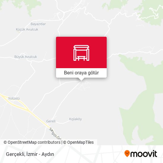 Gerçekli harita