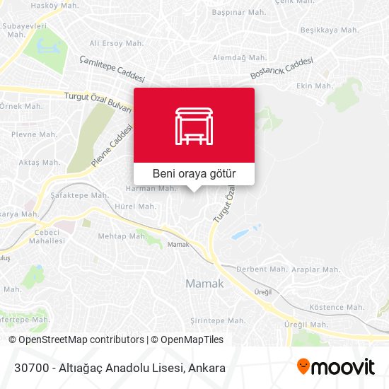 30700 - Altıağaç Anadolu Lisesi harita