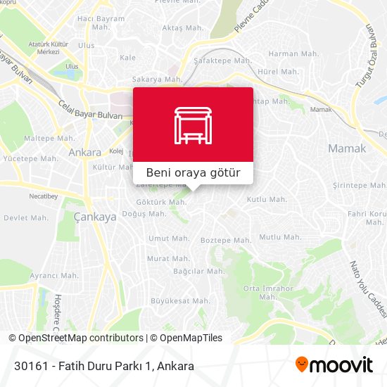 30161 - Fatih Duru Parkı 1 harita