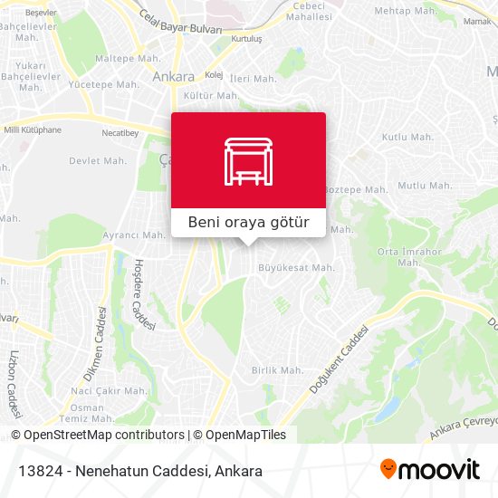 13824 - Nenehatun Caddesi harita