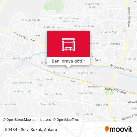 50484 - Selvi Sokak harita