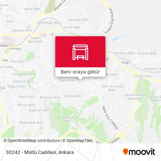 30242 - Mutlu Caddesi harita