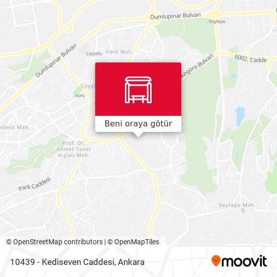 10439 - Kediseven Caddesi harita