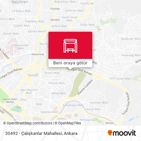 30492 - Çalışkanlar Mahallesi harita