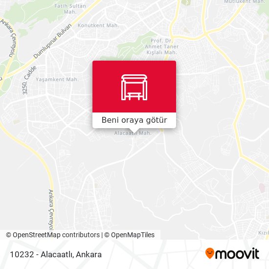 10232 - Alacaatlı harita