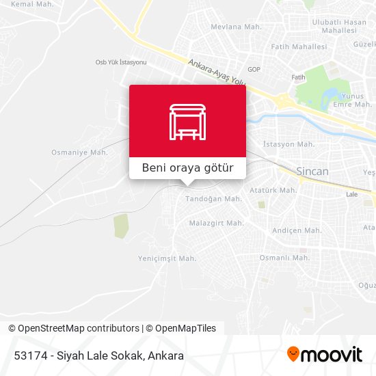 53174 - Siyah Lale Sokak harita