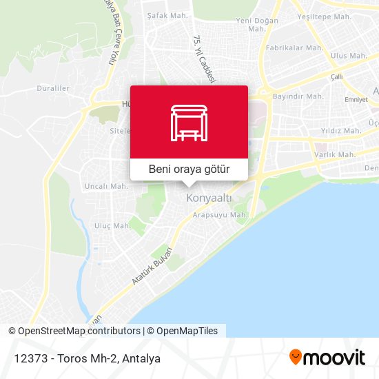 12373 - Toros Mh-2 harita