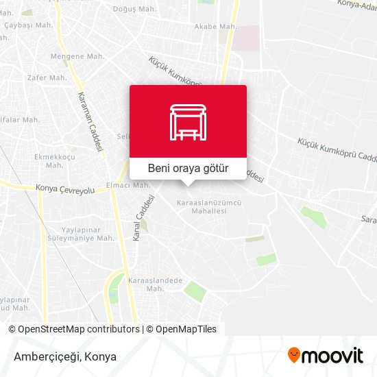 Amberçiçeği harita