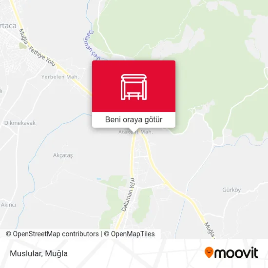 Muslular harita