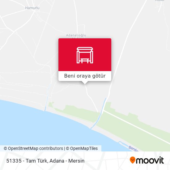 51335 - Tam Türk harita