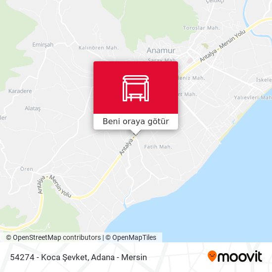 54274 - Koca Şevket harita