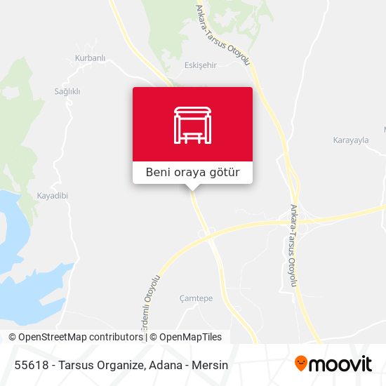 55618 - Tarsus Organize harita