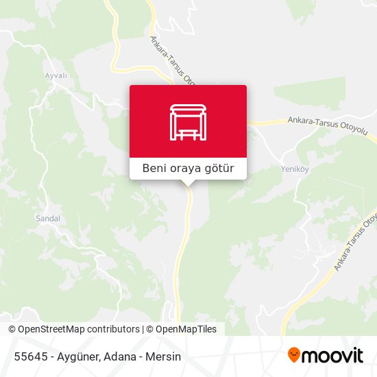 55645 - Aygüner harita