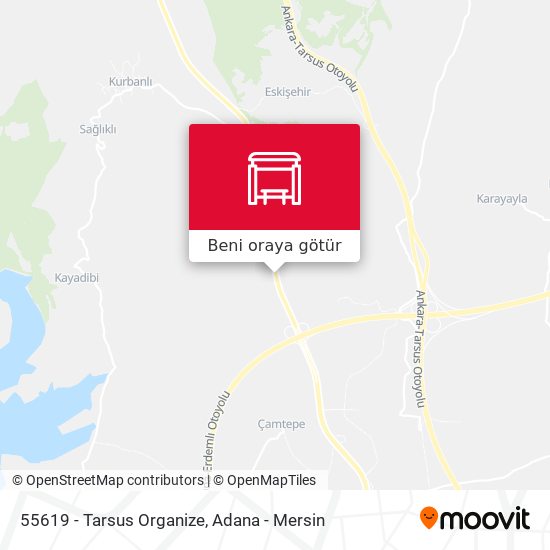 55619 - Tarsus Organize harita
