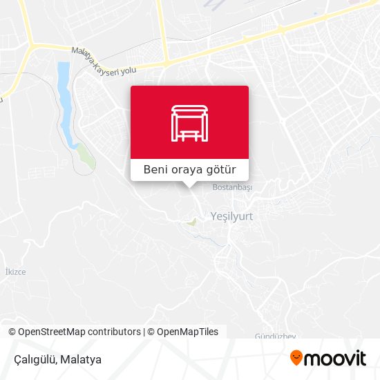 Çalıgülü harita