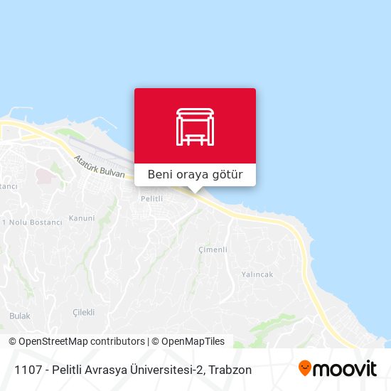 1107 - Pelitli Avrasya Üniversitesi-2 harita