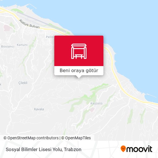 Sosyal Bilimler Lisesi Yolu harita