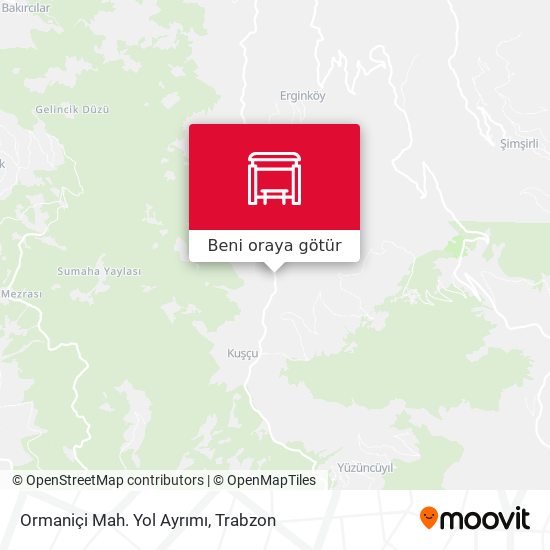 Ormaniçi Mah. Yol Ayrımı harita