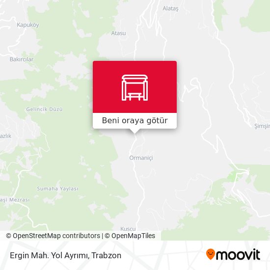Ergin Mah. Yol Ayrımı harita