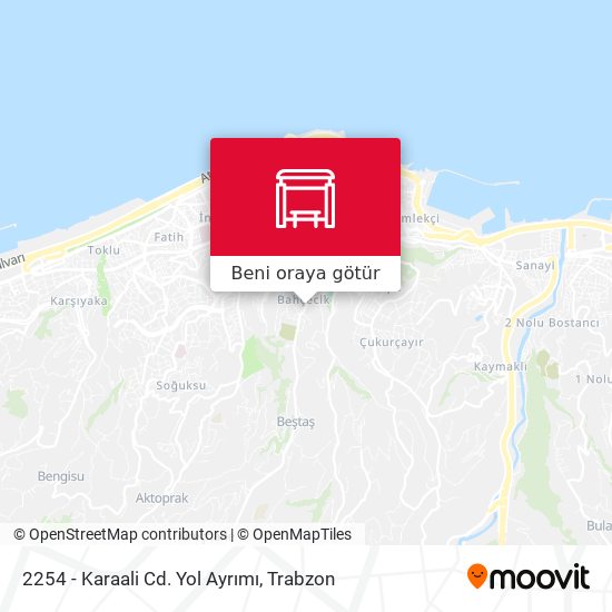 2254 - Karaali Cd. Yol Ayrımı harita