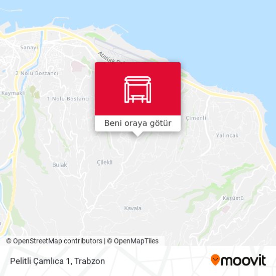 Pelitli Çamlıca 1 harita