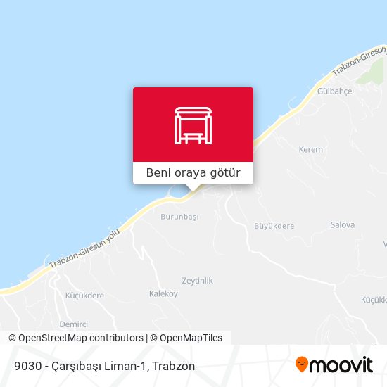 9030 - Çarşıbaşı Liman-1 harita