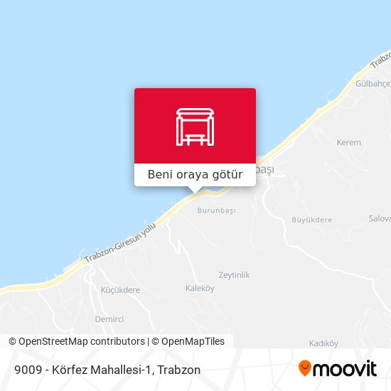 9009 - Körfez Mahallesi-1 harita
