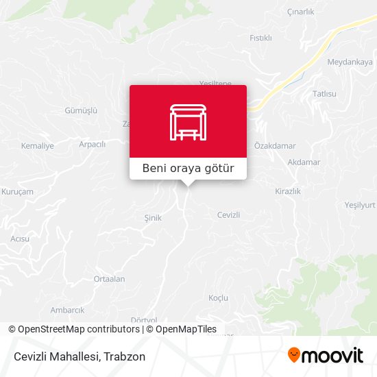 Cevizli Mahallesi harita