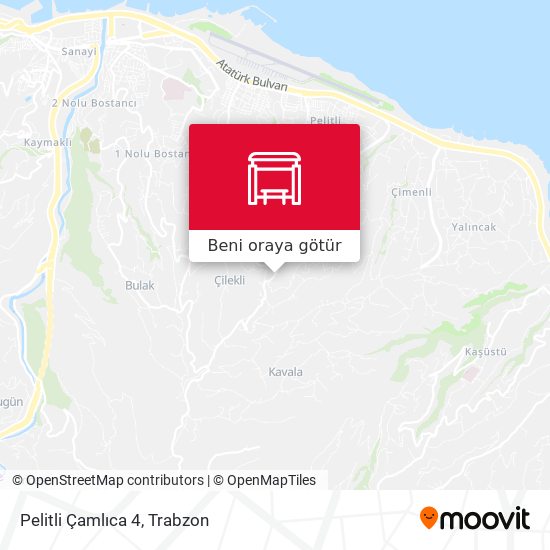 Pelitli Çamlıca 4 harita