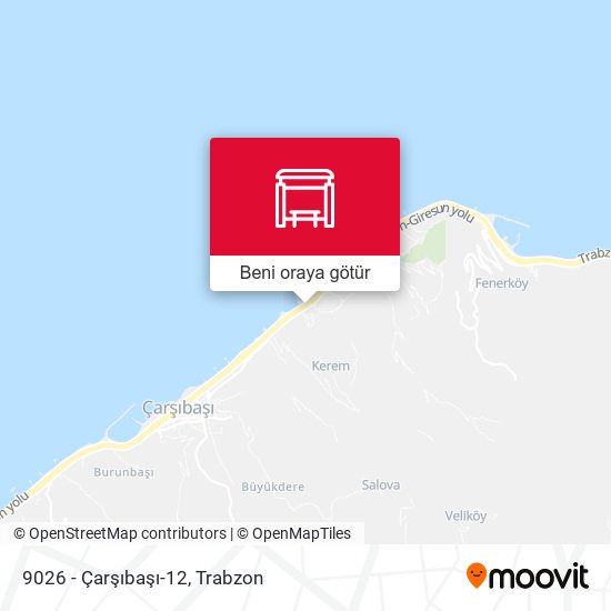 9026 - Çarşıbaşı-12 harita