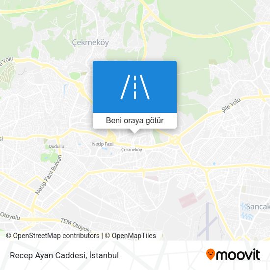 Recep Ayan Caddesi harita