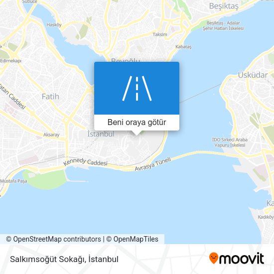 Salkımsoğüt Sokağı harita