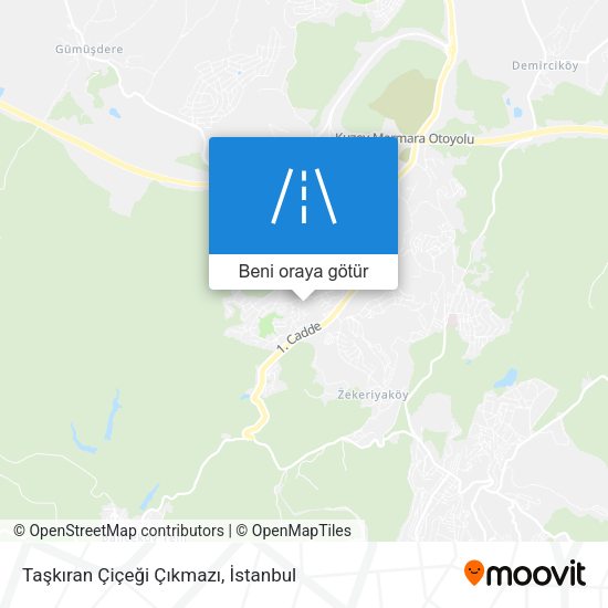 Taşkıran Çiçeği Çıkmazı harita