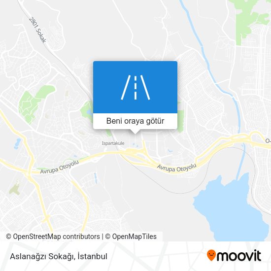 Aslanağzı Sokağı harita