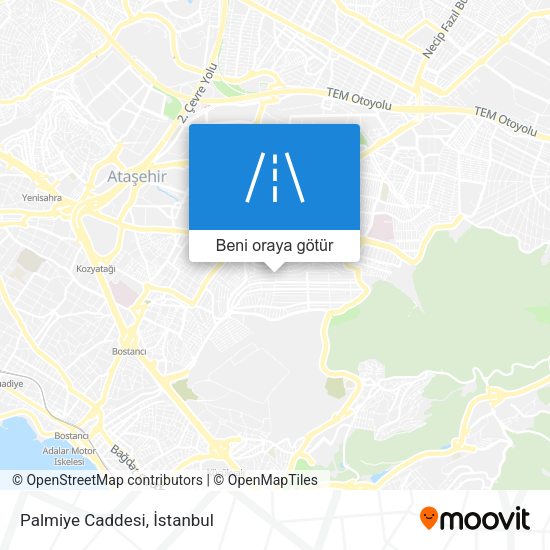 Palmiye Caddesi harita