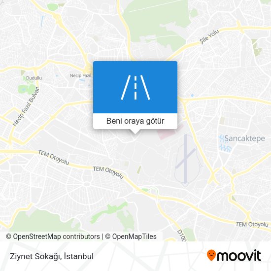 Ziynet Sokağı harita
