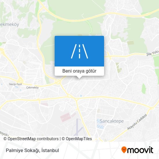 Palmiye Sokağı harita