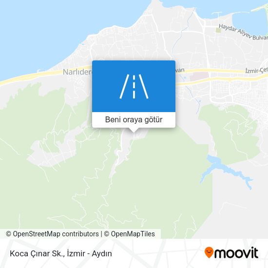 Koca Çınar Sk. harita