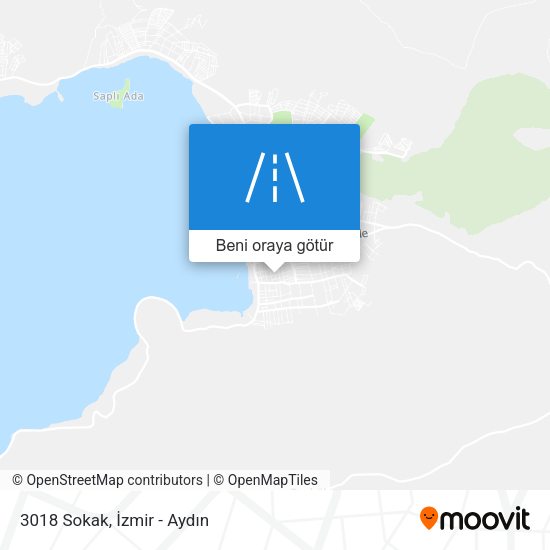 3018 Sokak harita