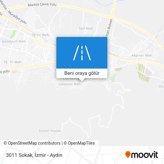 3011 Sokak harita